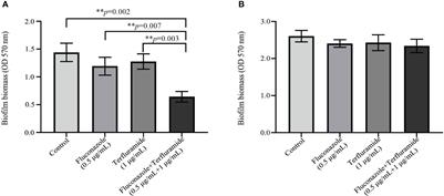 Synergistic potential of teriflunomide with fluconazole against resistant Candida albicans in vitro and in vivo